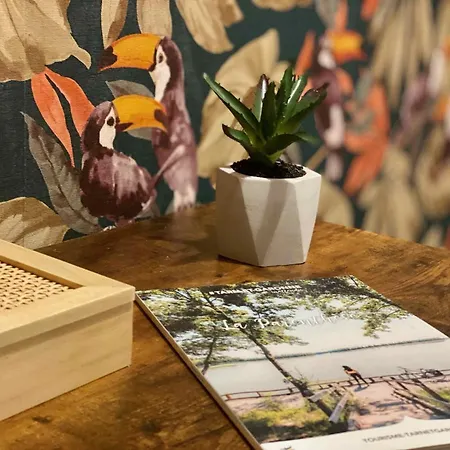 Le Point Virgule - Parking Prive - Climatisation Apartamento Montauban